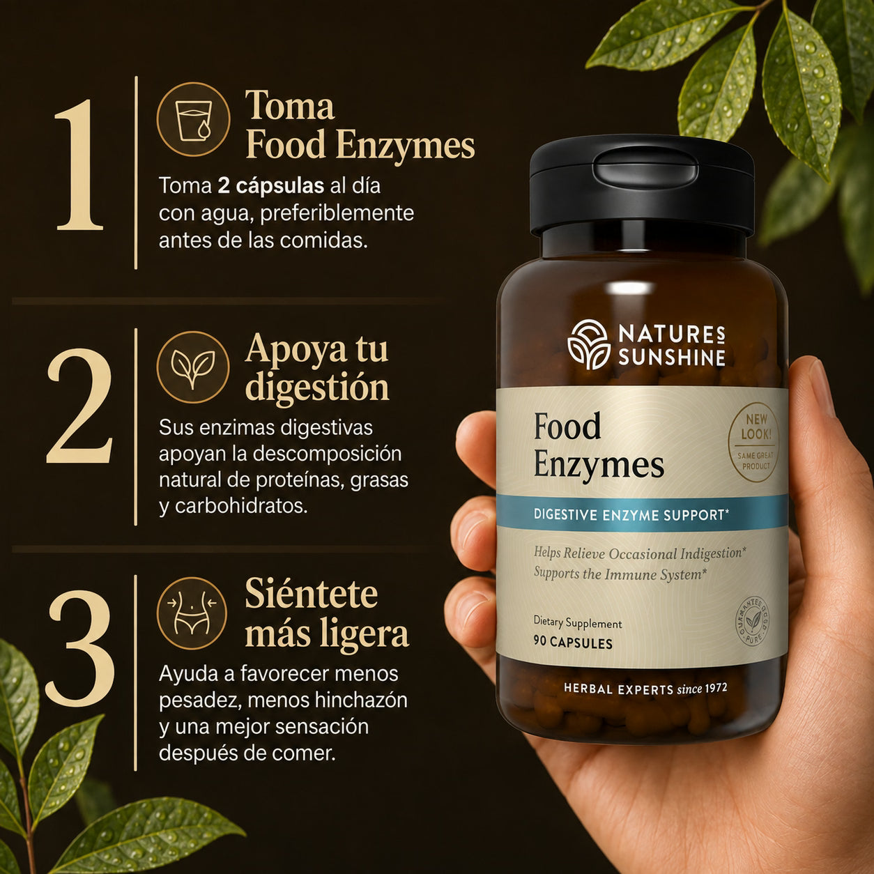 food enzymes