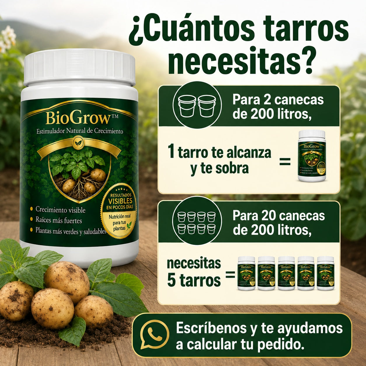 biogrow cultivos de papa