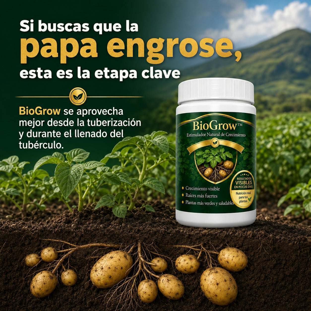biogrow cultivos de papa