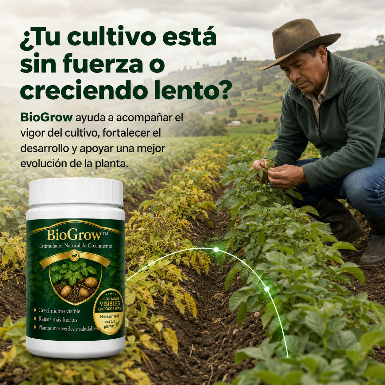 biogrow cultivos de papa