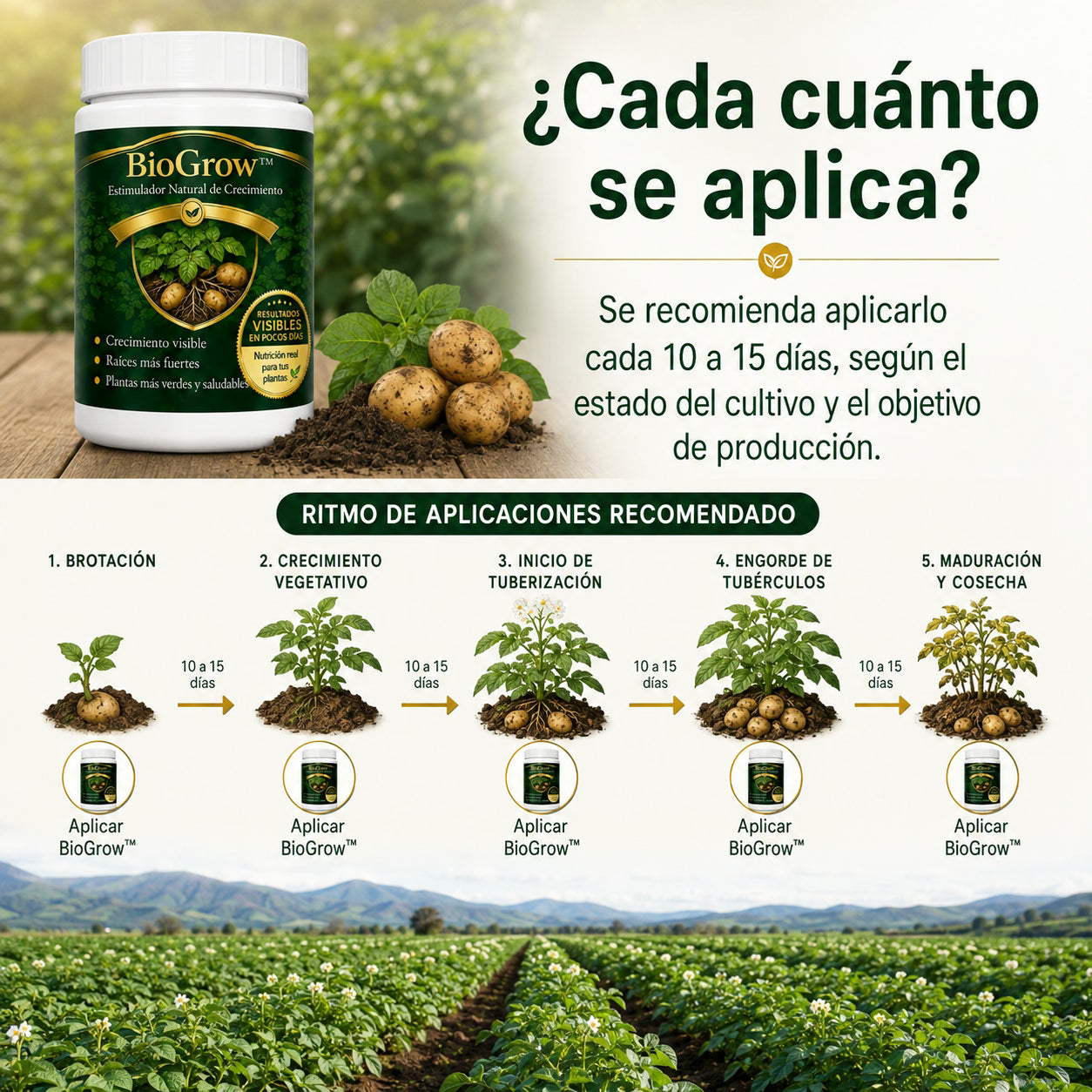 biogrow cultivos de papa