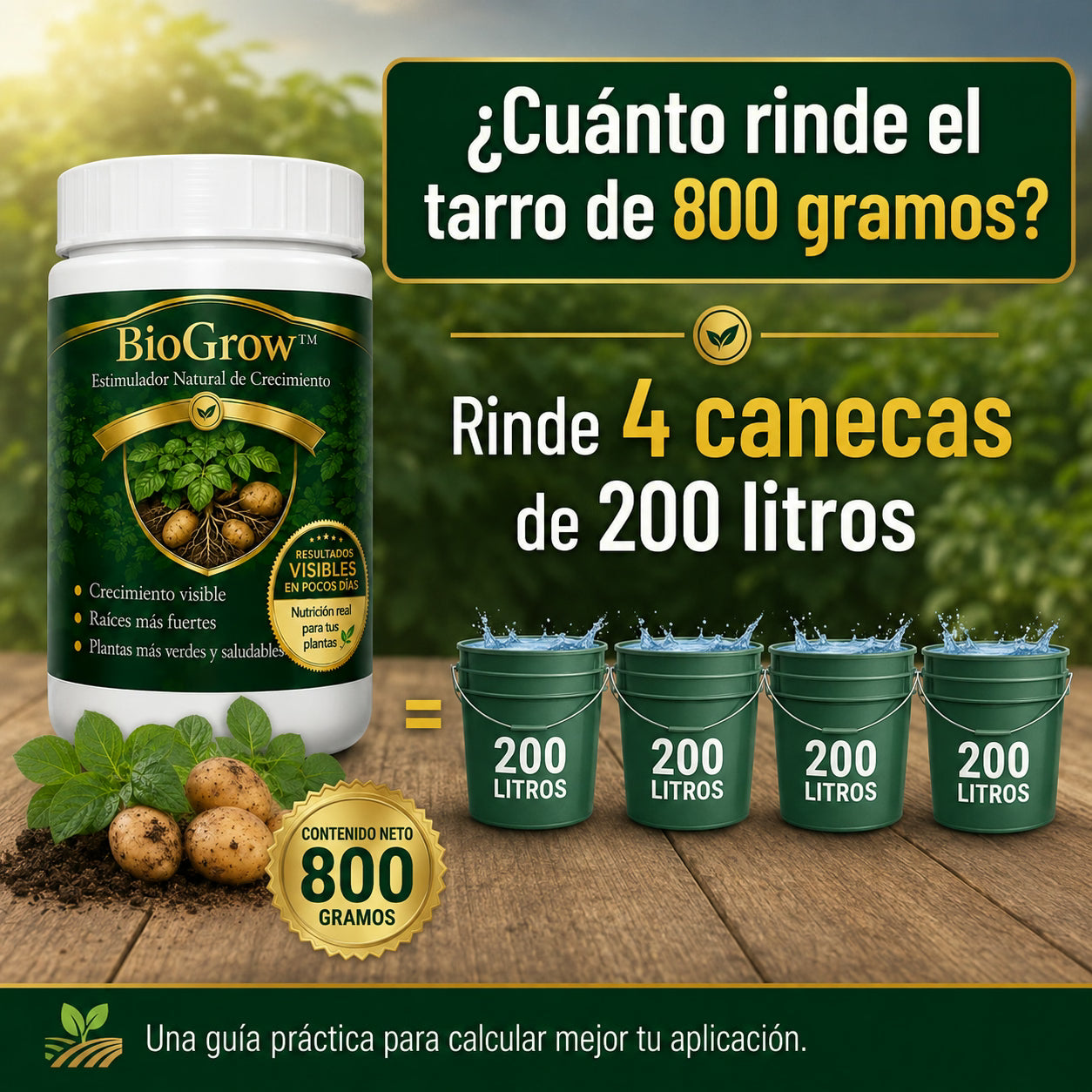 biogrow cultivos de papa