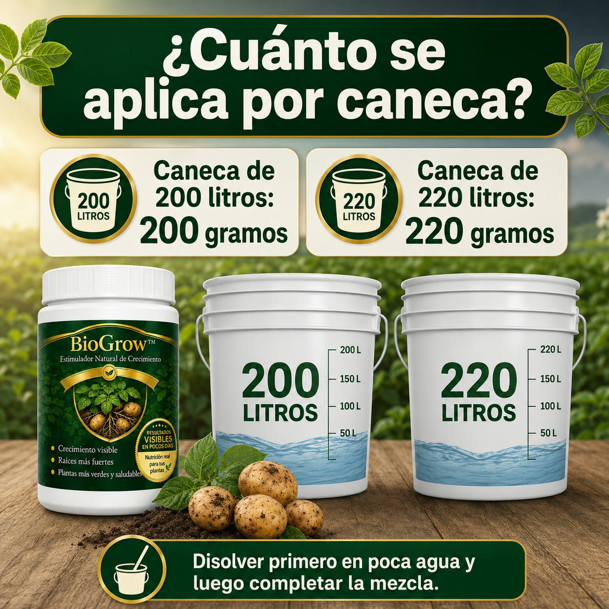 biogrow cultivos de papa