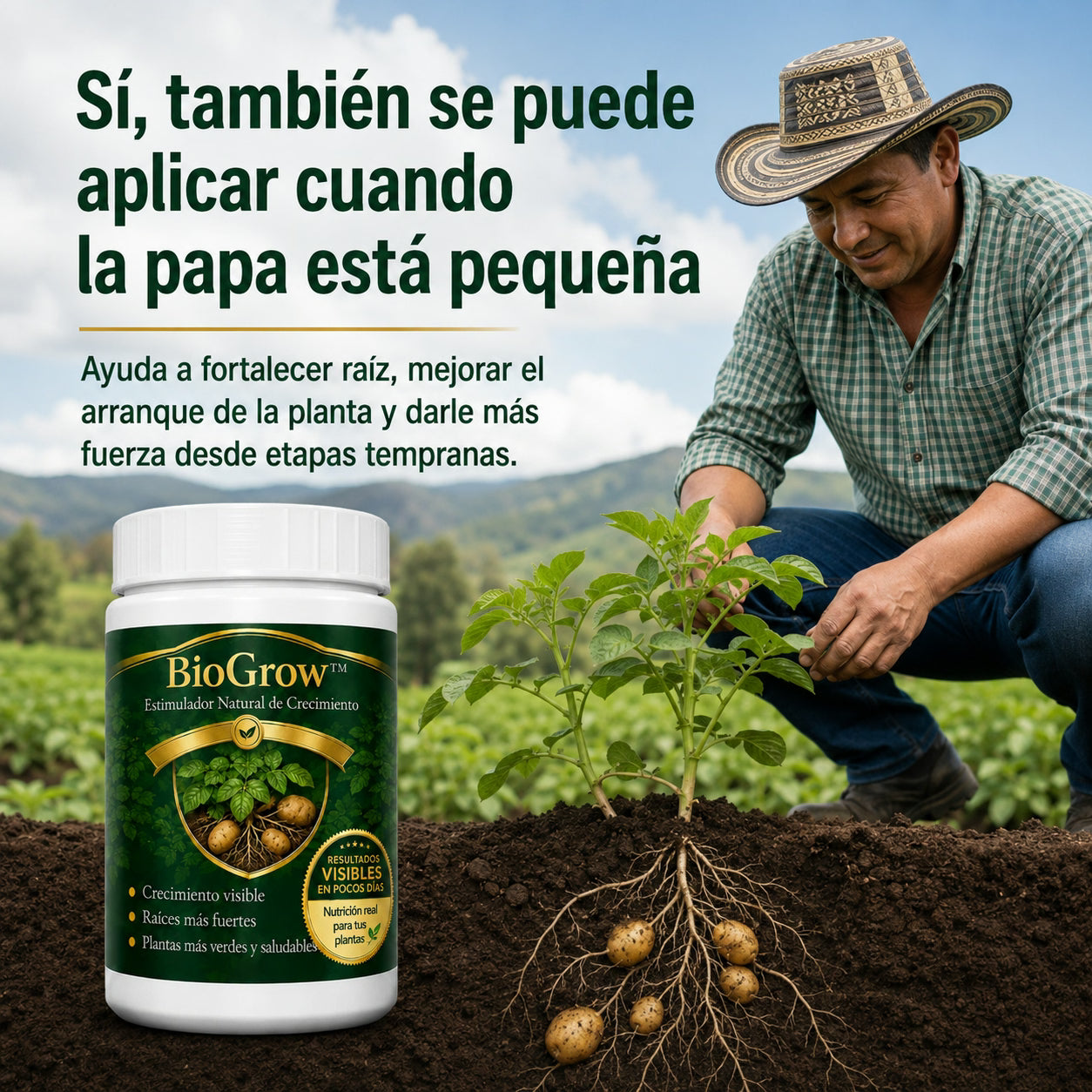 biogrow cultivos de papa