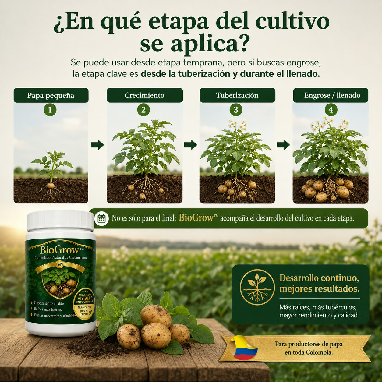 biogrow cultivos de papa