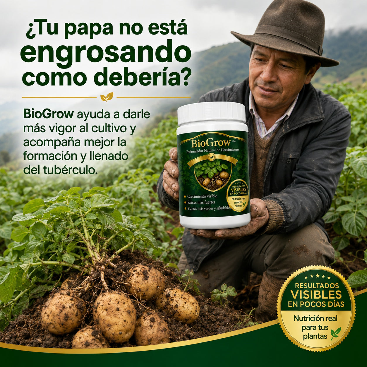 biogrow cultivos de papa