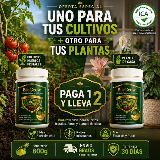 BIOGROW OFER 2
